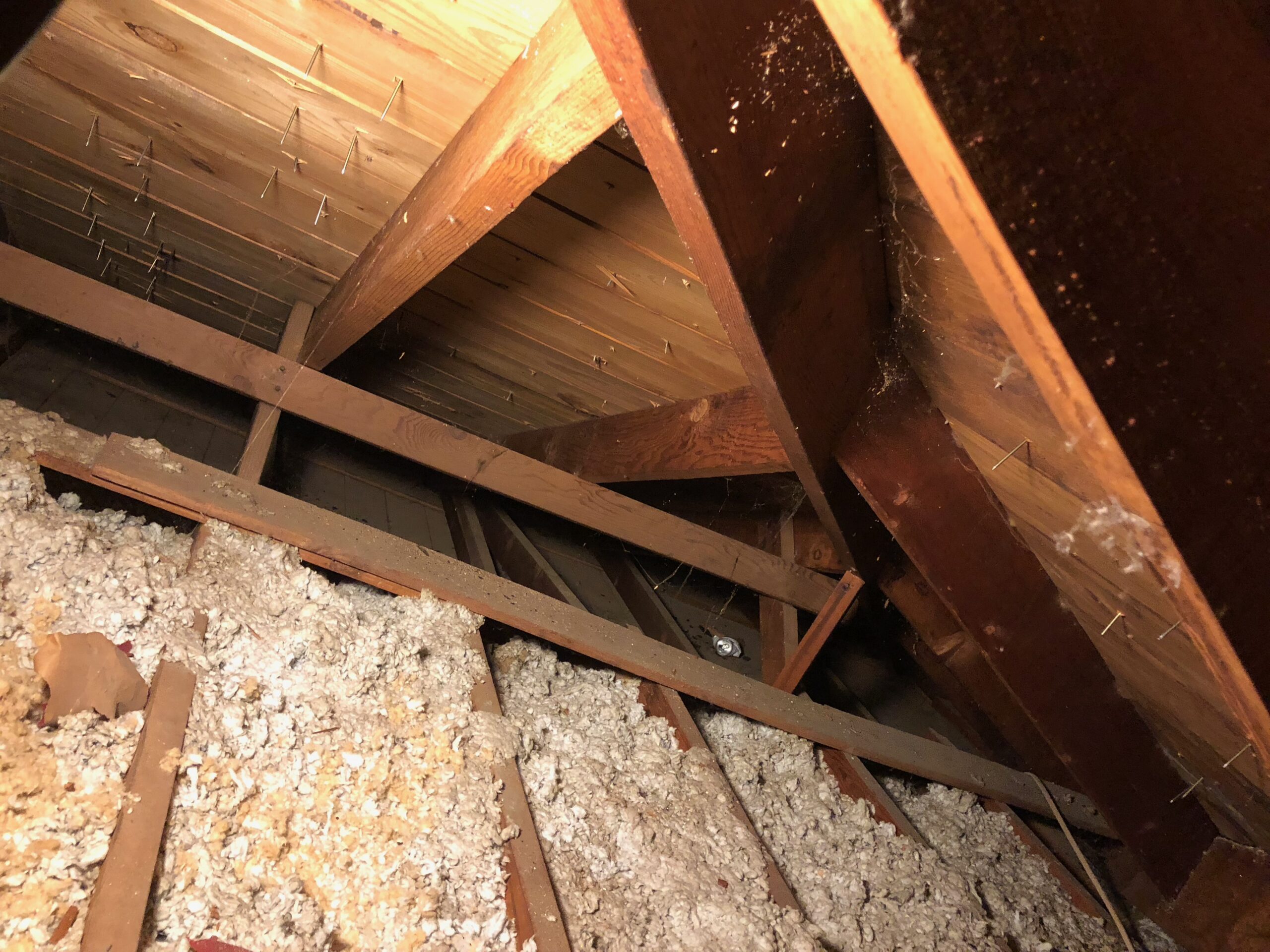 Tyler, attic, service, professional, restoration, remediation